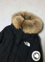 【￥28,600】北海道産ニホンタヌキ　一番人気　フード加工