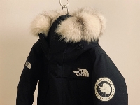 【￥45,100】プラチナFox　フード加工